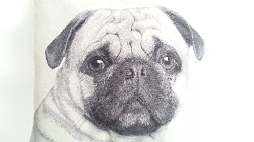 Preisvergleich Produktbild Mops Deko Kissen, 45 x 45 cm