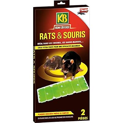 KB Piège à Glue Pour Rats et Souris x2