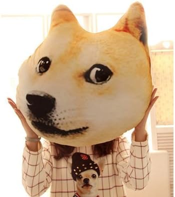 JinRou Casual fashion Animal Pillow 3D Series Doge And Husky Dog Plush Material 35X40Cm , 3#