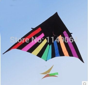 FZSWD Kites High Quality 2.8M Ray Shinning Delta Kite With Kite Line Bird Kite Chinese Kite String Power Pro Line