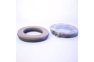 FloristryWarehouse Oasis Wreath Ring SEC Dry Foam 30cm/12 Inch Diameter x 1
