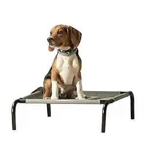 Franklin Pet Supply Elevated Dog Bed ? Breathable Mesh Fabric ? Portable ? Comfortable ? Pet Bed with Air Flow ? Large