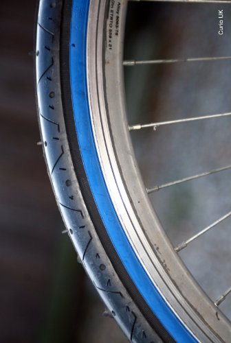 LUCKY STONE LS077BLUESIDEWALL - Cubierta de bicicleta, color verde