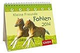 Kleine Freunde - Fohlen 2014: Mini-Kalender by 