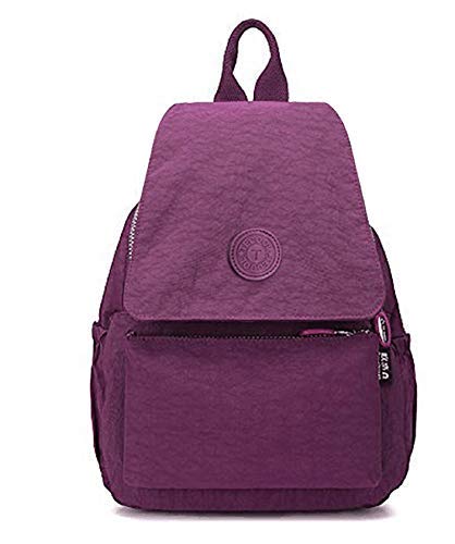 TECOOL - Casual Mochila Bolso para Mujeres, Moda Pequeño Ligero Nylon Impermeable Multi-bolsillos para Deportes y Aire Libre Ocio, Morado