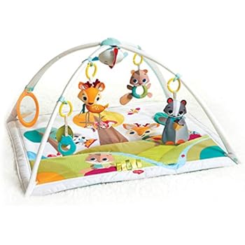 my precious baby activity play gym