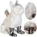Produktbild LS-LebenStil Keramik Spardose Bulli Weiß 19x15cm Bulldogge Hunde-Sparschwein