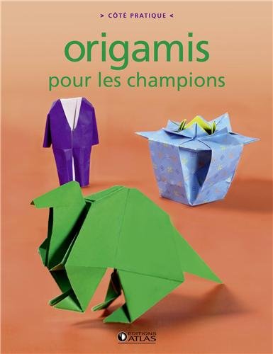 couverture de : Origamis pour les champions