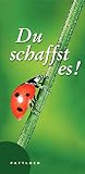Cover zum Buch Du schaffst es!