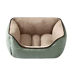 Slatters be Royal Store Rectangular Shape Reversable Cream Sky Blue Ultra Soft Ethnic Velvet Dog Bed for Pet/Cat