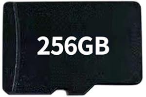 Aetheria TRIMUI Smart PRO Game Card with Games, 256G SD Card for TRIMUI Smart PRO Handheld Game Console