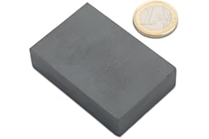 THE MAGNET SHOP Quadermagnet 60,0 x 40,0 x 15,0 mm Y35 Ferrit - hält 6 kg,Blockmagnet, Magnetblock, Bastelmagnet