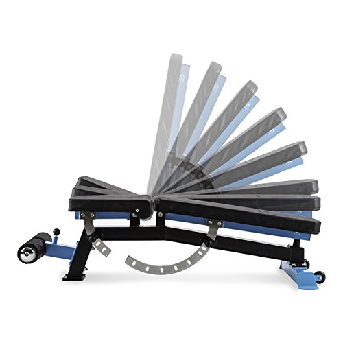 CAPITAL SPORTS Compactar klappbare Hantelbank Trainingsbank (Gewichte-Bank, Rückenlehne und Sitzfläche einstellbar, Polsterung Kunstlederbezug) - 4