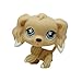 Produktbild #748 Rare Pet Shop Brauner Cocker Spaniel Hund Blumen Augen Tier LPS Collie Kind Mädchen Figur Spielzeug Loose Cute für Kinder / Geschenk 1pc Sammler Sammlerstück lose stehende Für Jungen (Große, fleischfarbene Ohren)