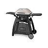 Weber 56060053 Weber Q 3000 Gasgrill Titan
