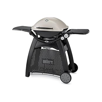 Weber 56060053 Weber Q 3000 Gasgrill Titan