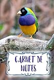 Carnet de notes Diamant de Gould, oiseaux exotiques: 100 pages