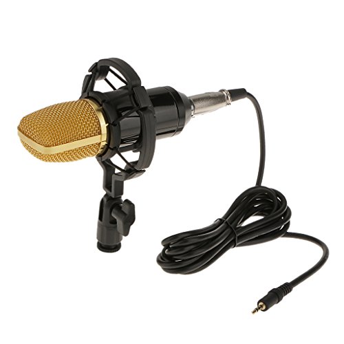 Preisvergleich Produktbild BM700 Rundfunk Aufnahme unidirektional Kondensator Mikrofon mit stoßfest Microfon Ständer und Kabel Wunderbar Artikel - Schwarz