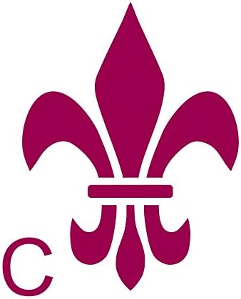 Metal Monkey Fleur De Lys Lis Reusable Mylar Stencil Mask Template Type C 140mm x 100mm