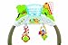 Fisher-Price Rainforest Friends Deluxe Bouncer