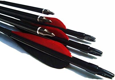 CNSE Archery 12Pcs 30'' Fiberglass Arrows 3'' Fletching Feathers Screw Tips Arrows For Compound Recurve Bow Hunting Target Shooting