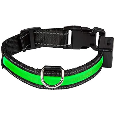 EYENIMAL Collier Lumineux Rechargeable USB pour Chien Vert 45 - 55 cm Taille M
