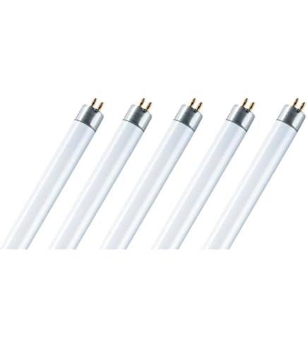 OSRAM Tubular Fluorescent Lamp, T5, Warm White - 60 cm : Amazon.ae