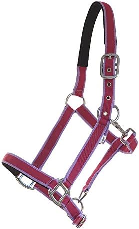 Halter softly padded with neoprene "Paddock bicolor" light purple - red Size XXX