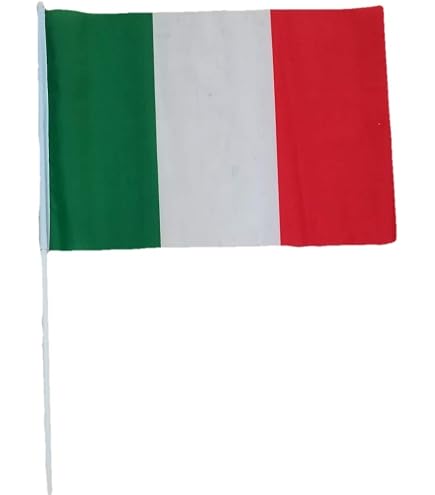 La bandiera della repubblica ceca - Italia