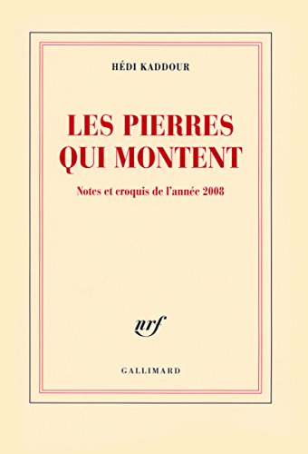couverture de : Les pierres qui montent
