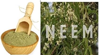 Neem Powder/Margosa Leaves Powder/Azardicta Indica Powder for Hair Blood and Skin Health 100 Gram Pack