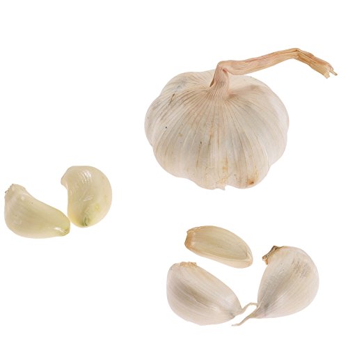 Westmark Knoblauchpresse, Länge: 15,2 cm, Aluminium, Biopress, Silber, 30102260 - 4