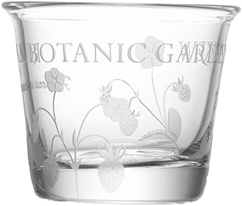 Royal Botanic Kew Tealight - Pack of 6