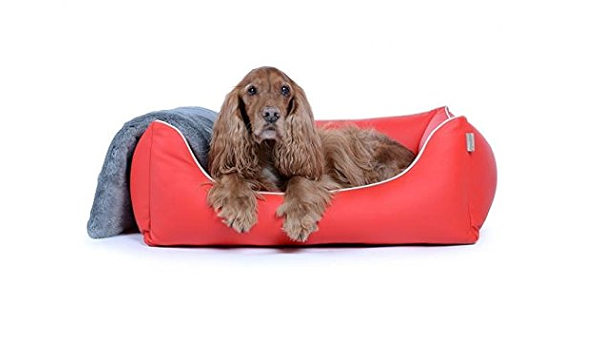 leather dog bed amazon