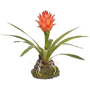 Lucky Reptile IF-20 Bromelie Kunststoffpflanze / Plastikpflanze mit Fuß, klein, rot