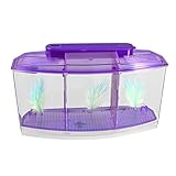 Elegante y hermoso mini tanque de peces adecuado para mantener a los pequenos peces de mascotas para anadir belleza natural extra natural.