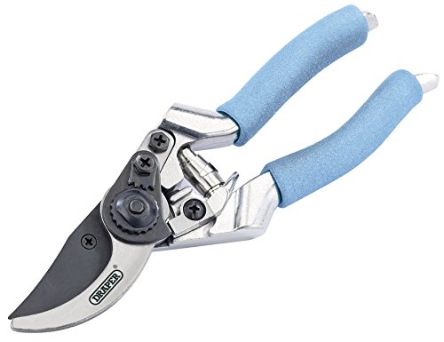DRAPER 36553 200 mm Bypass-Muster-Gartenschere