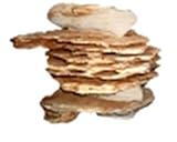 ca. 1 kg Grain Stein, Dekostein für Aquarien und Terrarien