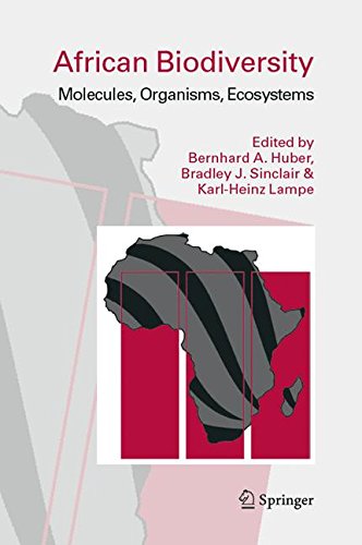 Preisvergleich Produktbild African Biodiversity: Molecules, Organisms, Ecosystems