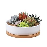 Perfecto para hierbas pequeños o para grandes flores Planta * * No Incluidos * *.