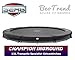 Produktbild Bergtoys Trampolin Champion Grey Sport Series, InGround, 330cm