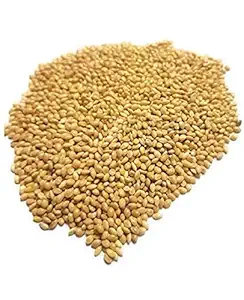 Kangni Seed Bird Food Foxtail Millet Seed for Birds (900 Grams)