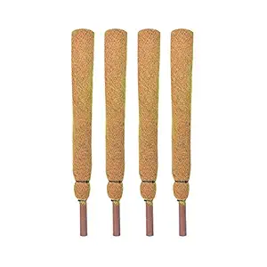 Sparkenzy 2 Feet Coir Moss Stick/Coco Pole for Climbing Plants (Set of 4)