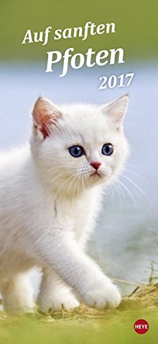 Katzen slim - Auf sanften Pfoten - Kalender 2017