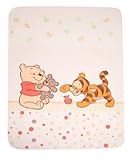 Julius Zöllner 9610010003 - Baby Pooh and Friends Kuscheldecke bedruckt, 75x90 cm