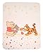 Baby cuddly blanket Baby Pooh and Friends