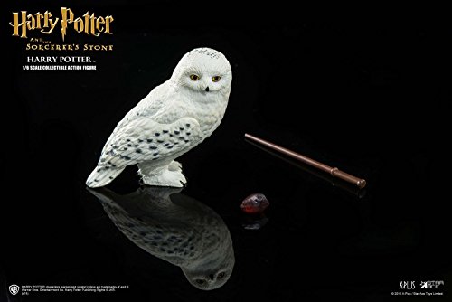 Star Ace Toys Harry Potter & The Sorcerer'S Stone: In Casual Wear 1:6 Scale Action Figure