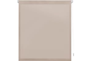 Decorblind | Estor Enrollable EasyFix Translúcido sin Herramientas y sin Taladrar, Medida: 62x180 - Estor Color Marfil Liso, Estores para Ventanas