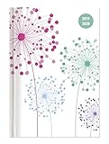 Collegetimer Blowballs 2019/2020 - Pusteblume - Schülerkalender A6 (10 x 15) - Day By Day - 352 Seiten - Terminplaner - Notizbuch by