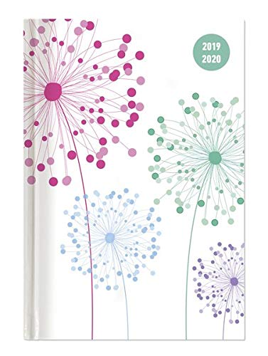Collegetimer Blowballs 2019/2020 - Pusteblume - Schülerkalender A6 (10 x 15) - Day By Day - 352 Seiten - Terminplaner - Notizbuch